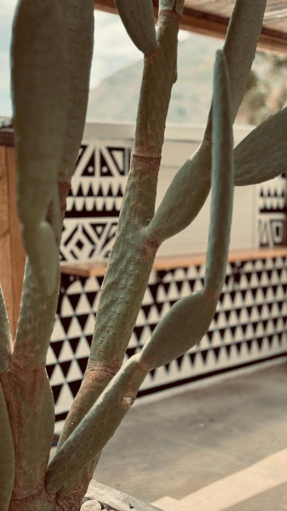 La Casa Di Lusso N6 -Adults Only Villa Kolymbia Dış mekan fotoğraf